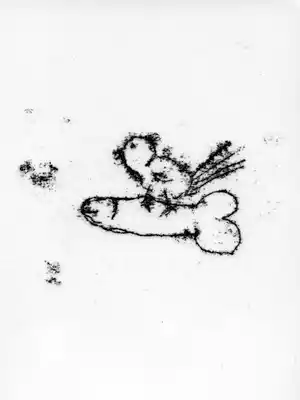 Tracey Emin - Singing Bird - Tattoo - Bienale Venetië 2007 verkocht voor € 50!