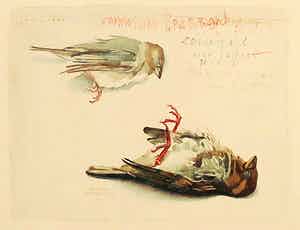 Pien Hazenberg - Aquarel, Zondagsmus voor Saskia verkocht voor € 35!