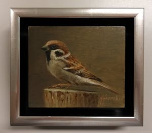 Hans Habraken - Mus op stam kopen? Bied vanaf 225!