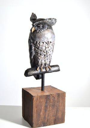 Tosca van Oorschot - Maleise Oehoe kopen? Bied vanaf 150!