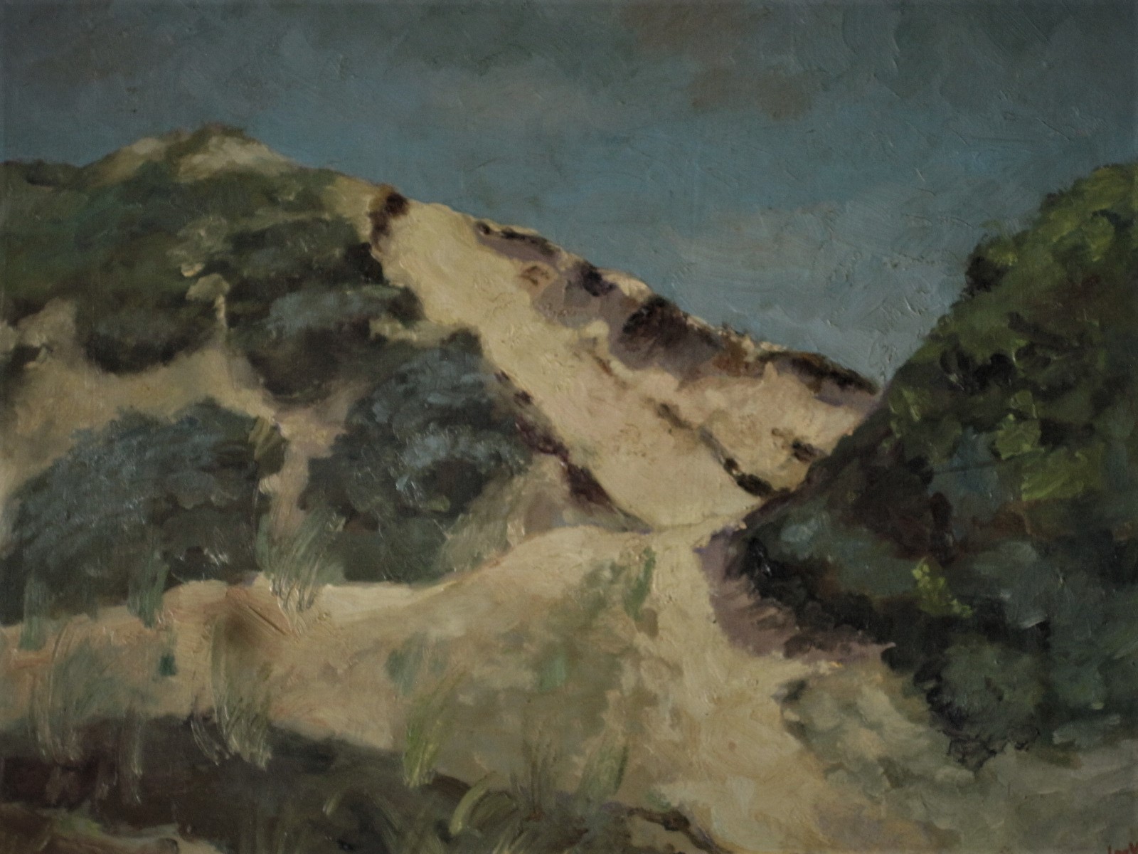 Niet of onleesbaar gesigneerd - Fraai in 1948 geschilderd olieverf "Zonnig Duinlandschap" gesigneerd  kopen? Bied vanaf 1!