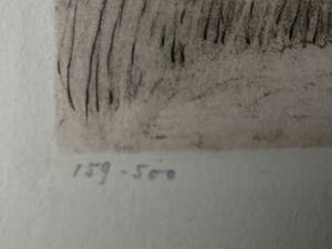 Leon Danchin - Vlucht kivieten kopen? Bied vanaf 100!