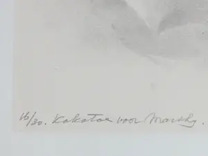 Aart van Dobbenburgh - Kakatoe - Litho kopen? Bied vanaf 50!