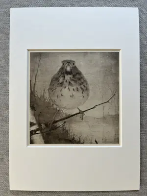 Jan Mankes - Originele Heliogravure - Lijster op Tak 1923 kopen? Bied vanaf 165!