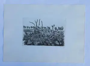 Willem Minderman - landschap met dorpje op achtergrond - jaren '70 kopen? Bied vanaf 45!