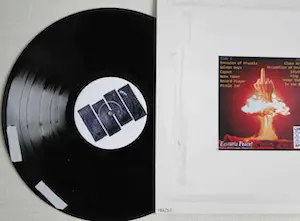 Raymond Pettibon - Black Helicopter - Don't fuck with... - Zeefdruk op lp hoes - Signed kopen? Bied vanaf 50!