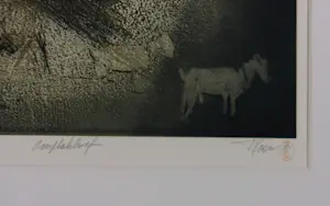 Veerle Rooms - Gemengde druktechnieken, Aanplakbrief- Ingelijst kopen? Bied vanaf 35!