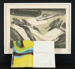 Robert Zandvliet - Exklusives Set : Signierte Litho (gerahmt) & Signiertes Buch kopen? Bied vanaf 890!