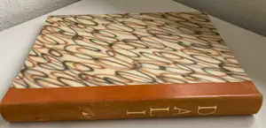 Salvador Dali - Les Margelles du Phlégéton - handgesigneerd - zeldzaam kopen? Bied vanaf 295!