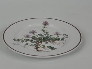 Villeroy & Boch - Botanica bord Thymus kopen? Bied vanaf 1!