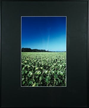 Paul Huf - Foto, France, Arles, Chateau Montmajour - Ingelijst kopen? Bied vanaf 1!