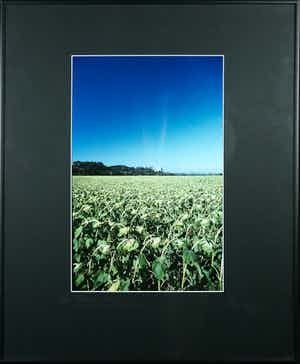 Paul Huf - Foto, France, Arles, Chateau Montmajour - Ingelijst verkocht voor € 1!