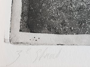 Jan Prins - Ets - Gesigneerd 1985 kopen? Bied vanaf 20!