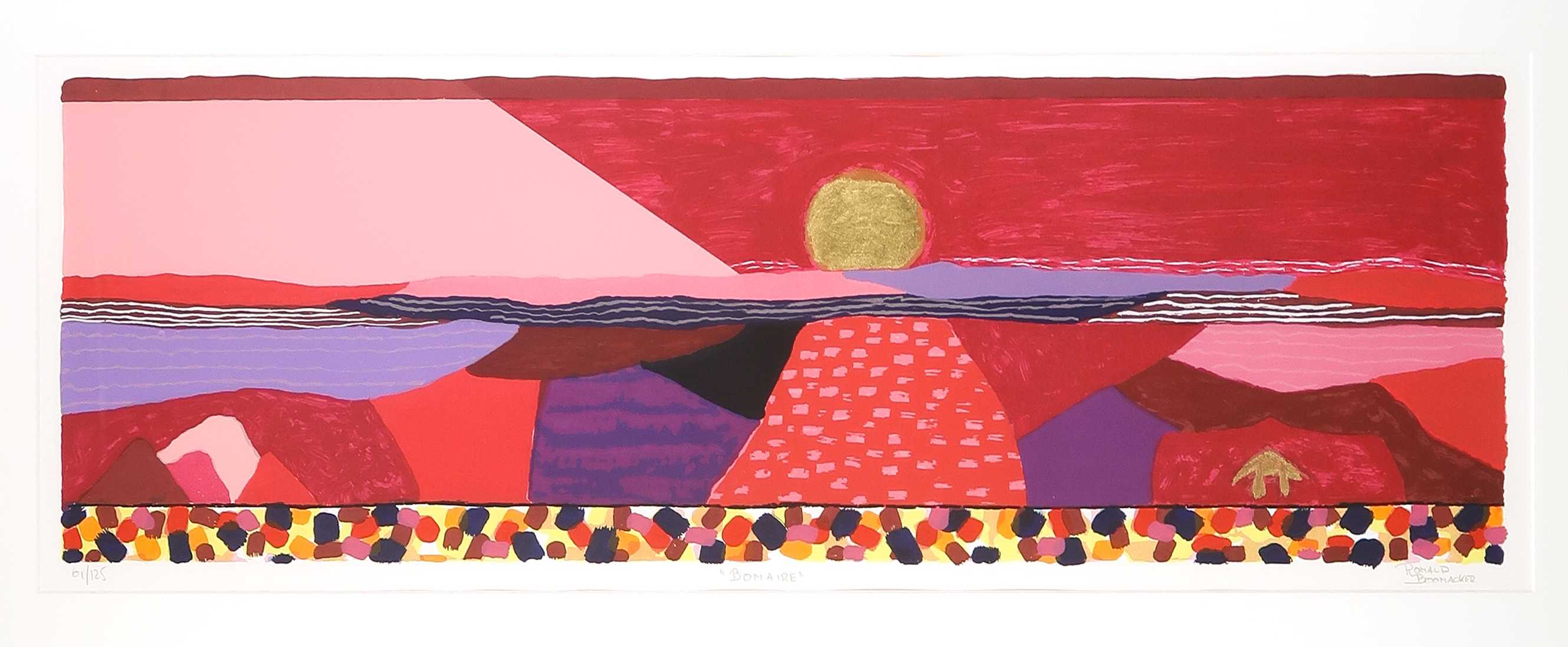 Ronald Boonacker - Zeefdruk, Bonaire - Ingelijst kopen? Bied vanaf 35!