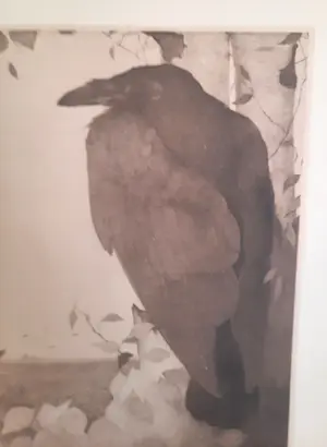 Jan Mankes - Raaf op Berkeboom kopen? Bied vanaf 1!
