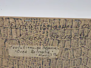 Margriet Poort - Over Refraktie kopen? Bied vanaf 20!