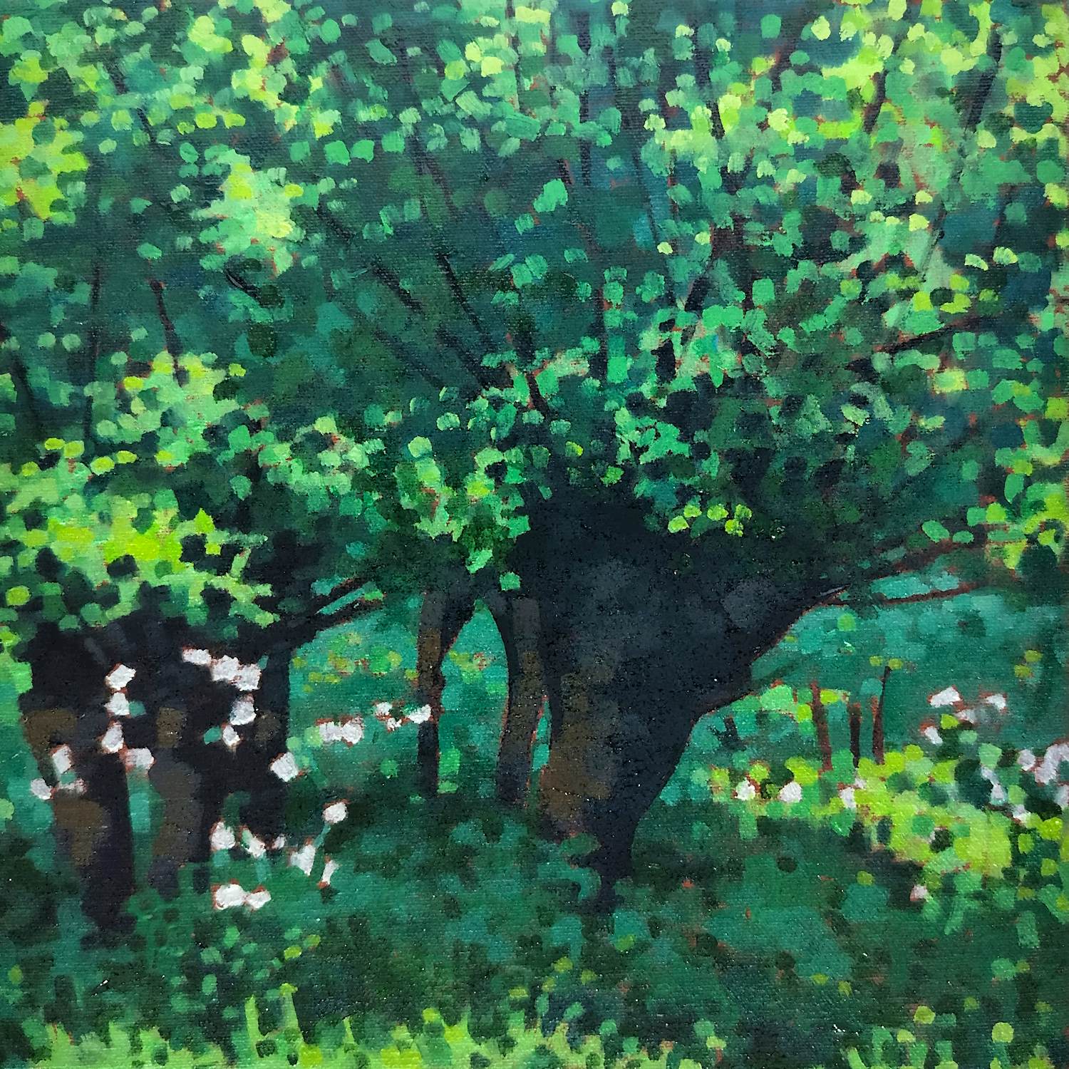 Willem Visser - Wilgen in het voorjaar verkocht voor € 70!