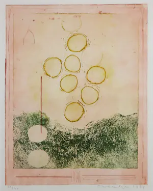 Jan Montyn - Ets, Zonder titel - Ingelijst kopen? Bied vanaf 80!