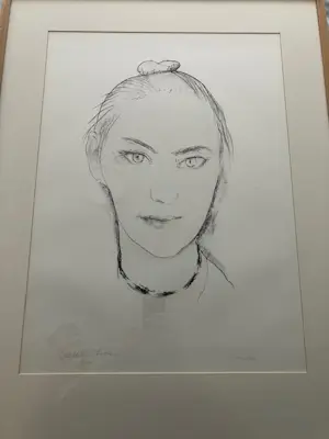 Paul Citroen - 12 lithografieën, compleet en ingelijst kopen? Bied vanaf 150!