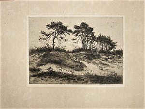 Martin van Waning - Mooie grote Droge Naald Ets - Duinlandschap Schiermonnikoog - gesigneerd kopen? Bied vanaf 29!