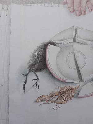 Ank Overweel - Bijeen geraapt. kopen? Bied vanaf 75!