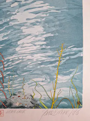 Sjoerd Bakker - Onbekend kopen? Bied vanaf 50!