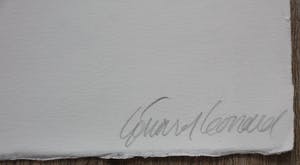 Gerard Leonard van den Eerenbeemt - litho: abstract kopen? Bied vanaf 40!