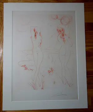 Salvador Dali - Espejo Vivo kopen? Bied vanaf 1650!