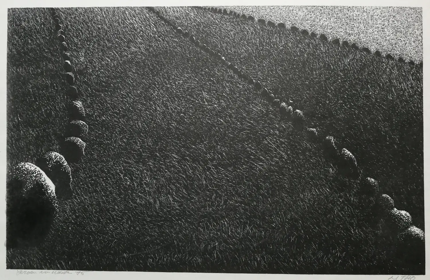 Jeroen van Westen (1955)