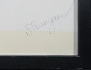 Shunyam - Zeefdruk, Take me home! - Ingelijst kopen? Bied vanaf 1!