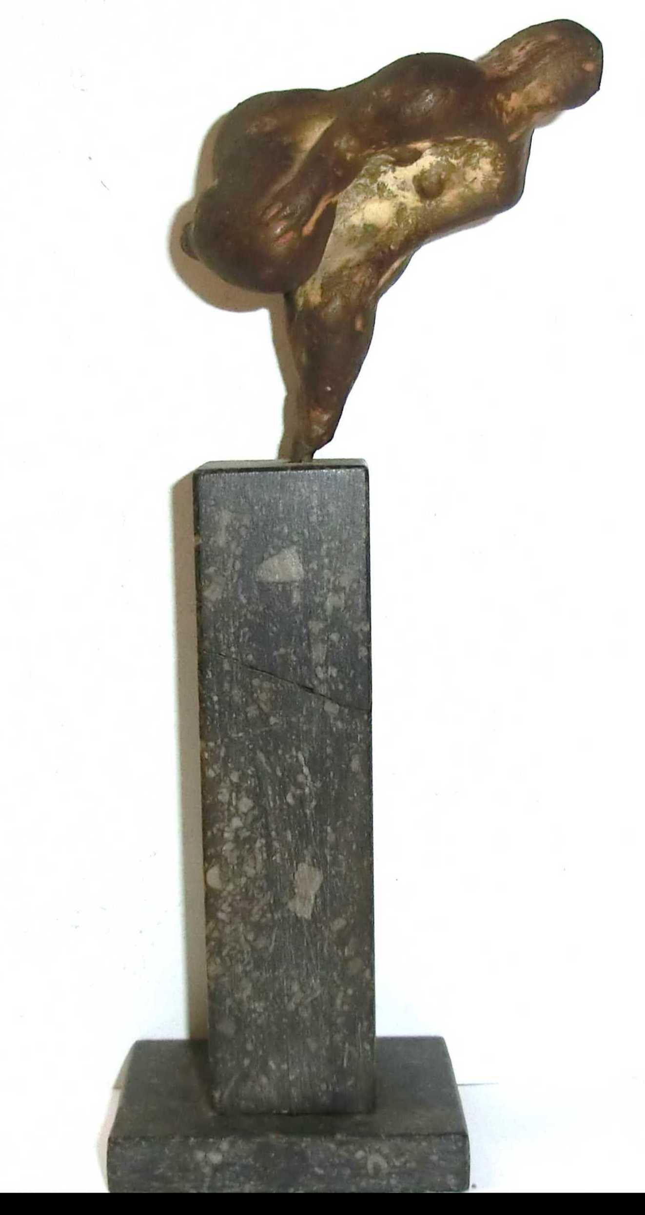 Piet van Heerden - Vrouw op een been kopen? Bied vanaf 150!