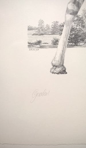 Peter Vos - Gevoelens - gesigneerde litho kopen? Bied vanaf 250!