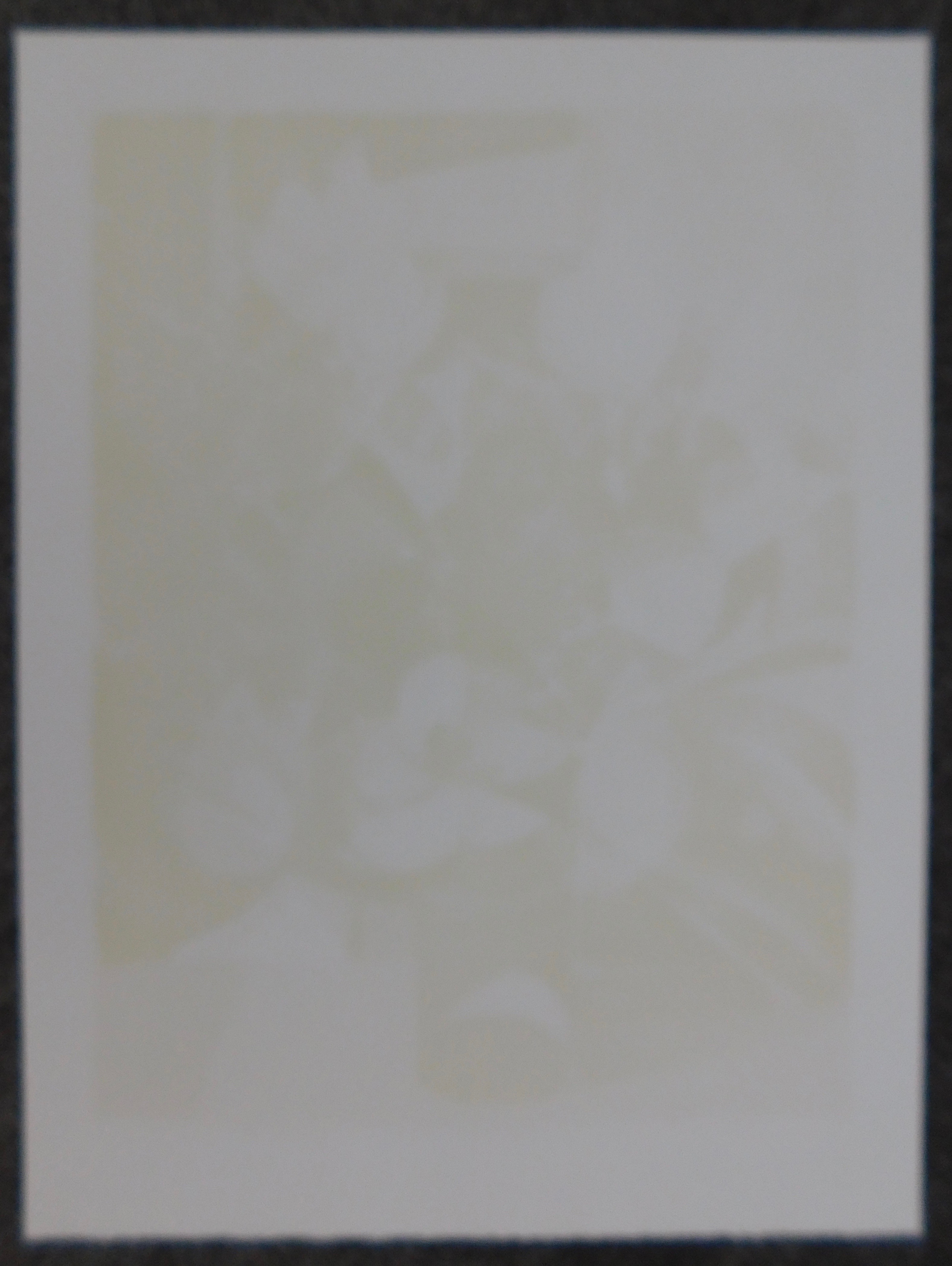 Camille Hilaire - Fleurs IV kopen? Bied vanaf 35!