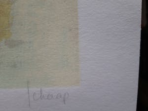 Nicole Schaap - COUCHER DU SOLEIL kopen? Bied vanaf 45!