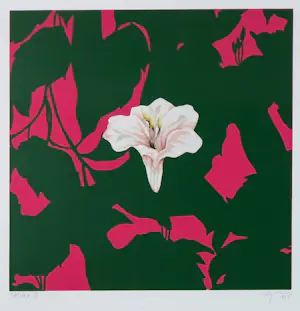 Arjan van Arendonk - Zeefdruk op papier (Setje), Datura II & III - Ingeljist kopen? Bied vanaf 100!