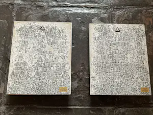 Rick Theunissen - Stilleven bloemen. kopen? Bied vanaf 30!