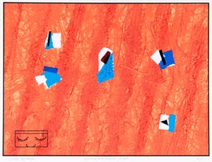 Co Westerik - Kijken met je ogen dicht kopen? Bied vanaf 75!