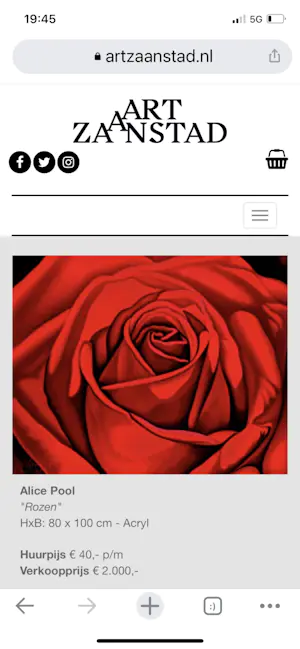 Alice Pool - Rozen kopen? Bied vanaf 650!