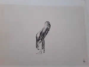 Melle Oldeboerrigter - Ter gelegenheid van Melle,s 60e verjaardag kopen? Bied vanaf 45!