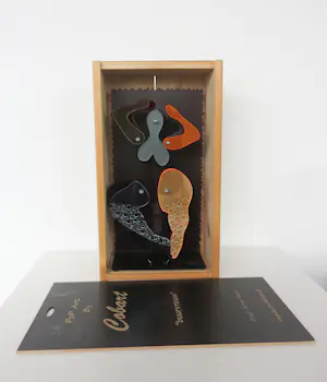 Ad van Hassel - Beeld van plexiglas in houten kistje, Buurvrouw (Cobart Pop Art) kopen? Bied vanaf 100!