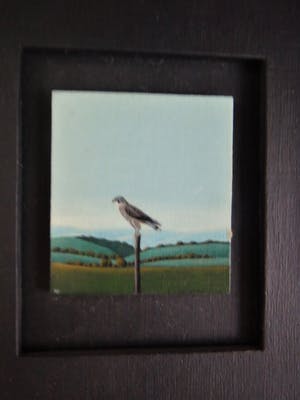 Leo van Dam - miniatuur Torenvalk kopen? Bied vanaf 45!