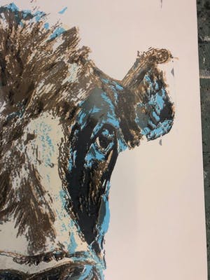 Theo Onnes - Cow - gesigneerd - 75 ex - groot kopen? Bied vanaf 1!