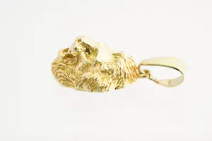 134 - Mooi gedetailleerde 18 Krt geel-gouden Leeuwenkop hanger kopen? Bied vanaf 310!