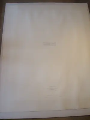 Pablo Picasso - Les Pigeons kopen? Bied vanaf 110!