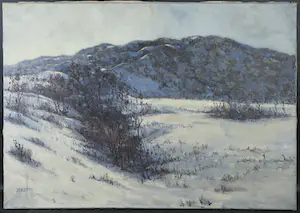 Johannes K. Veerman - Olieverf op doek, Kennemerduinen kopen? Bied vanaf 1!