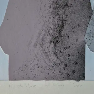 Anco van der Haar - "grafisch gezelschap De Luis" grote kleuren litho "Creo" zeer klein oplage (15) kaufen? Bieten Sie von 55!