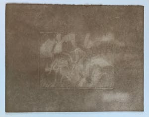 Christine Boumeester - Gesigneerde ets - 1970 - 20/30 - LAATSTE KANS!! kopen? Bied vanaf 1!