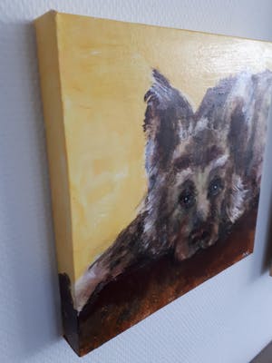 Anke Peddemors - Ik wacht kopen? Bied vanaf 25!