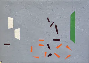 Jan Willem Versteeg - Bicycle kopen? Bied vanaf 1!