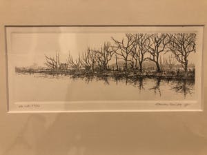 Harmen Kooistra - Bomenrij lang waterkant kopen? Bied vanaf 22!